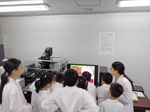 牢記初心使命 技術(shù)服務(wù)社會(huì)——科學(xué)實(shí)驗(yàn)中心黨支部成功舉辦首屆少兒科普活動(dòng)